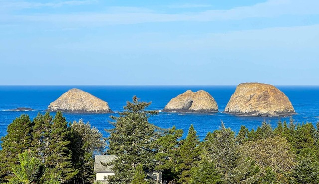 Sweeping ocean view home with fireplace grill and foosball table dog friendly