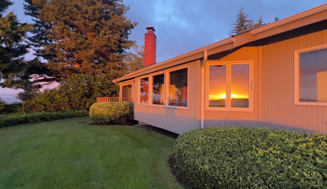 Sweeping waterfront sunsets · Seattle Gym Dogs