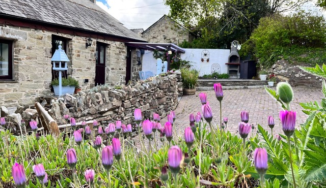 Swift Cottage