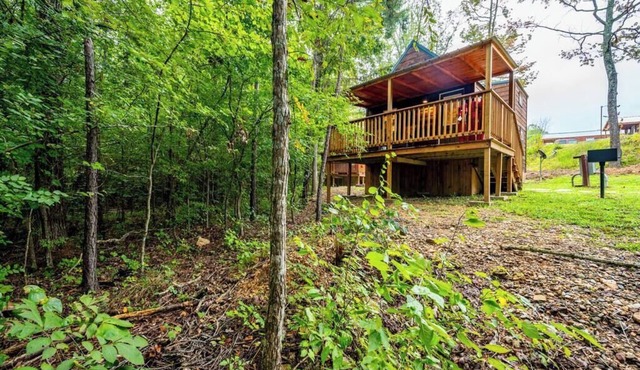 Sycamore: Sleep 5 Tiny Cabin, Pets, Near Park/Lake