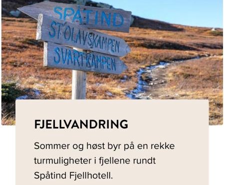 Synnseter, Synnfjellet, Fjellstuguvegen 38, 2880 Nord Torpa