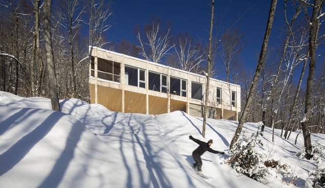 Tree house Chez Leon