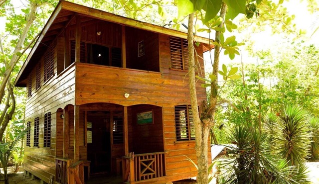 Take it easy at our eco friendly beach cabins where life meets nature .funfilled