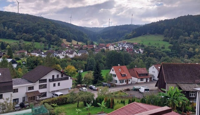 Talblick-Ruhe in Hirschhorn/near Heidelberg