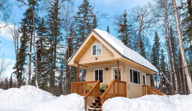 Talkeetna Tiny House Cabin *Sauna* Near ski/lake
