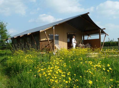 Tall Trees Glamping
