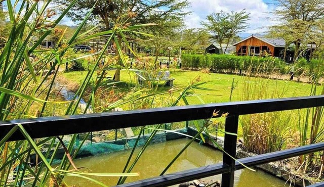Tamarisk Ol Bolosaat