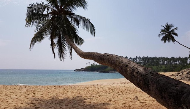 Tangalle Bay Cottages