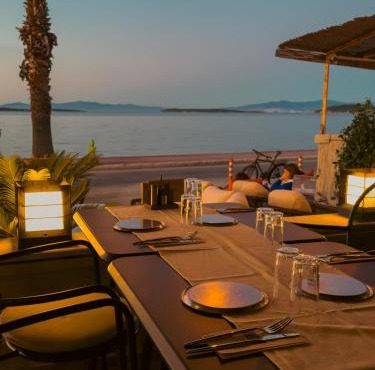 Tare Suites