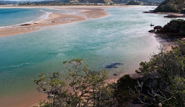 Te Maika Beachfront - Ngunguru