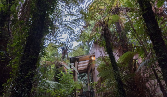 Te Nikau Retreat - Hostel