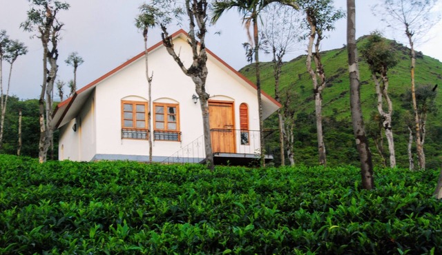 Tea Terrace Vythiri Resort