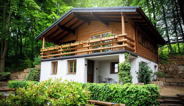 Teak - Holiday apartment with a view, pet-friendly with wellness area