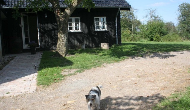 Teglgaarden bed and breakfast