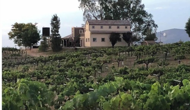 Temecula Wine Country Home on 5 Acre Vineyard