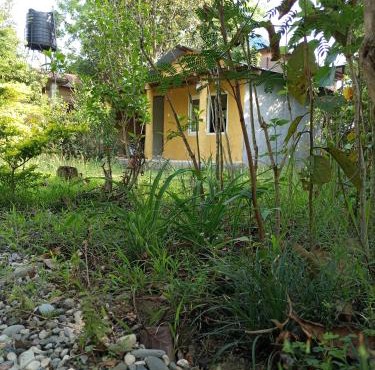 Temple chital homestay, safari and yoga