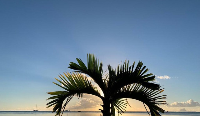 Tenape Sunset