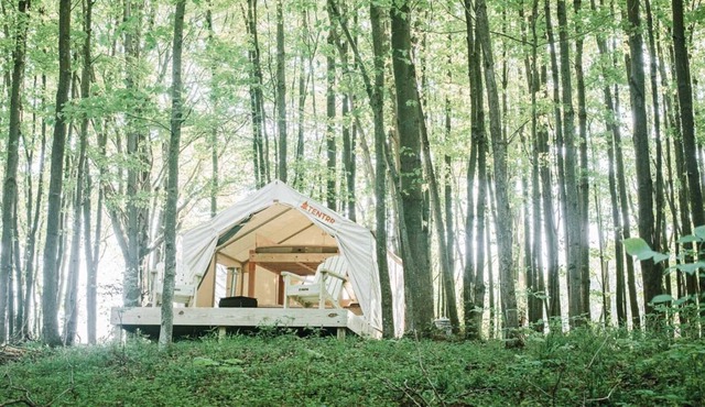 Tentrr Signature Site - Hollow Tree Camp - Coleman Outfitted Site