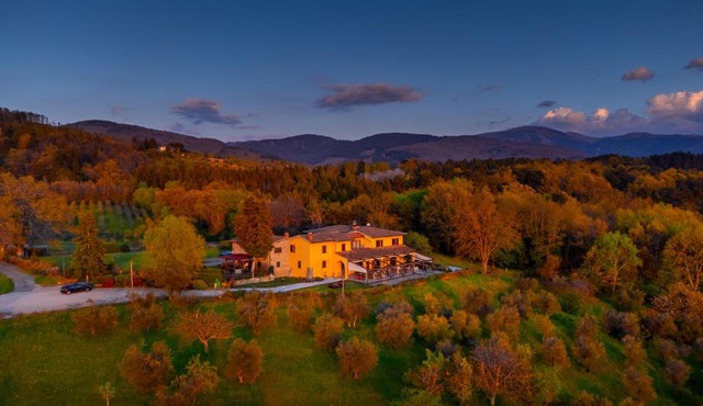 Tenuta Risalpiano