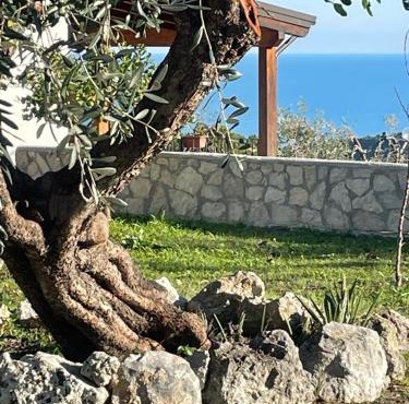 Tenuta Solleone