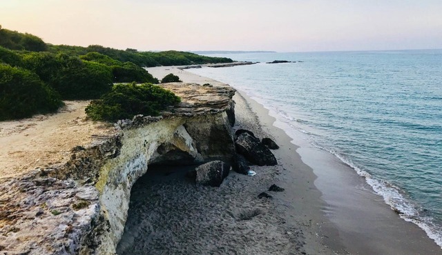 Tenuta Turchi