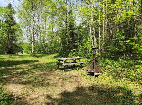 Terrain de camping