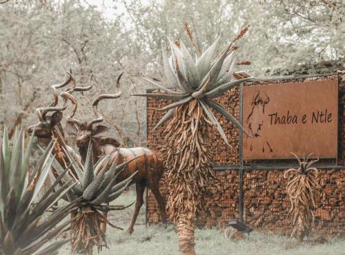 Thaba eNtle Private Boutique Game Farm