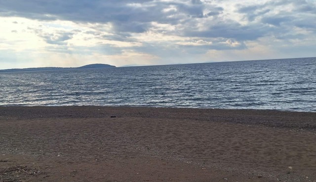Thassos Apart Otel