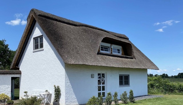 Thatched cottage with sauna (incl.), terrace, garden in Worpswede