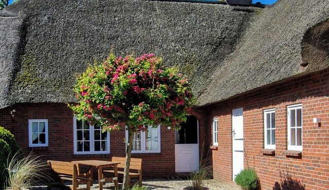 Thatched house on a Warft near Schlüttsiel