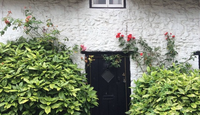 Thatched Mid Terraced Cottage