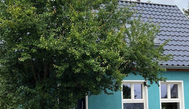 "The 24" Ecological living in the Hohen Fläming region