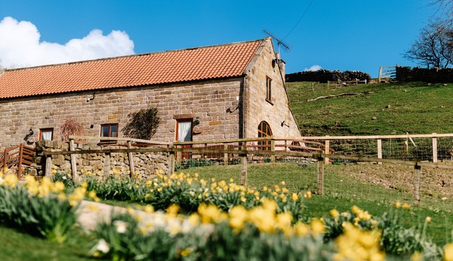 THE ARCHES, pet friendly, character holiday cottage in Farndale