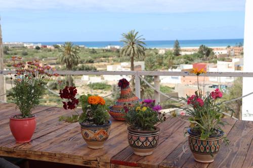 THE ARTIST Hostel Surf & Art