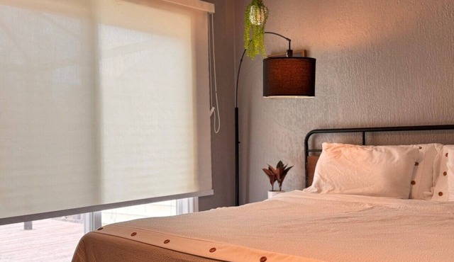 The Bachelor Suite at Stanley/Kitchenette&Backyard