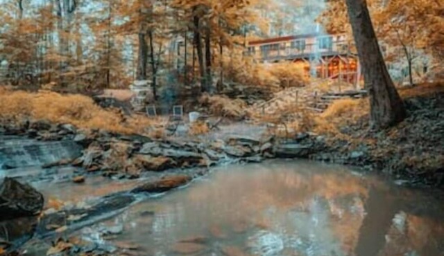 The Barn; Grateful Woods: fires, games, animals…