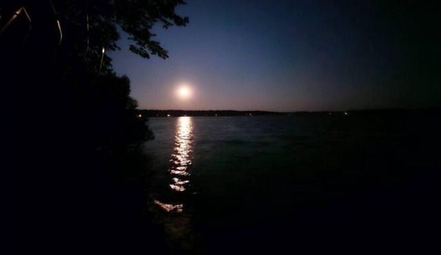 The Beahive Resort. Unit #4 Lakefront on lake Alex