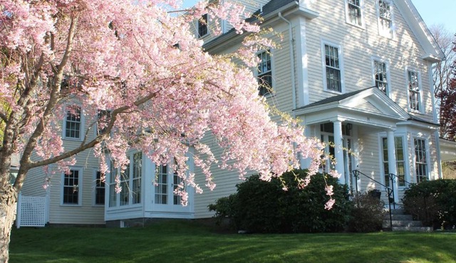 The Beech Tree B&B