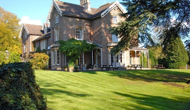 The Beeches