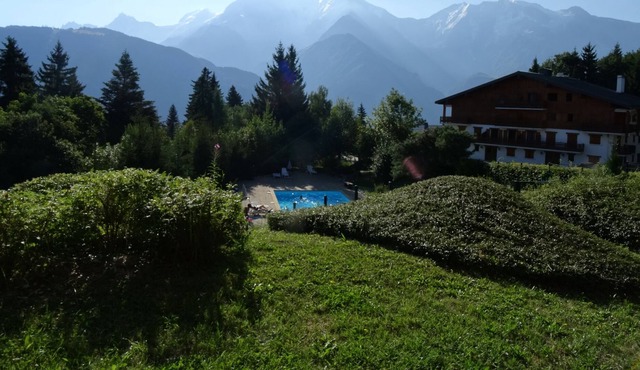 THE BETTEX 1450m Near the slopes 2 rooms 2/6 people, Lounge overlooking Mont Blanc