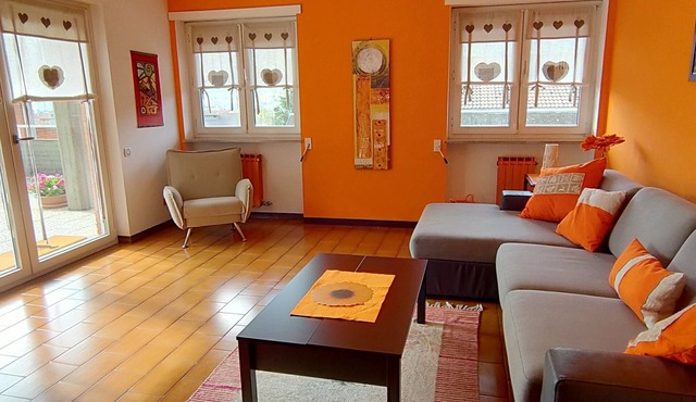 The birch tree, comfortable apartment wifi and parking free