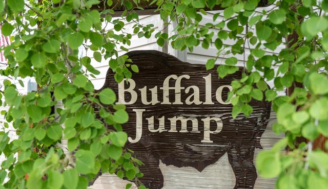 The Bison at Buffalo Jump