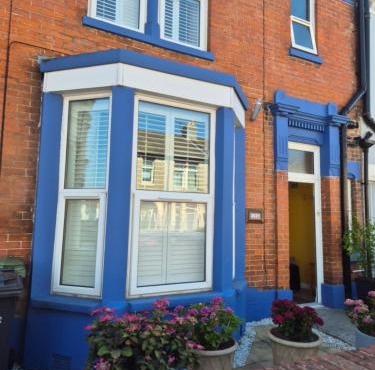 The Blue House
