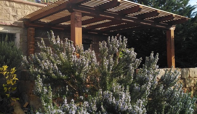 the blue strawberry tree apartment