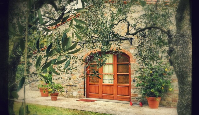 The Bricks's Oven