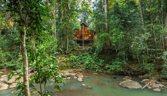 The Canopy Rainforest Treehouses and Wildlife Sanctuary