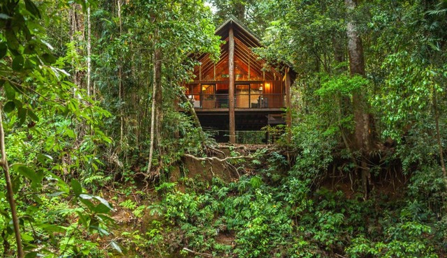 The Canopy Rainforest Treehouses & Wildlife Sanctuary