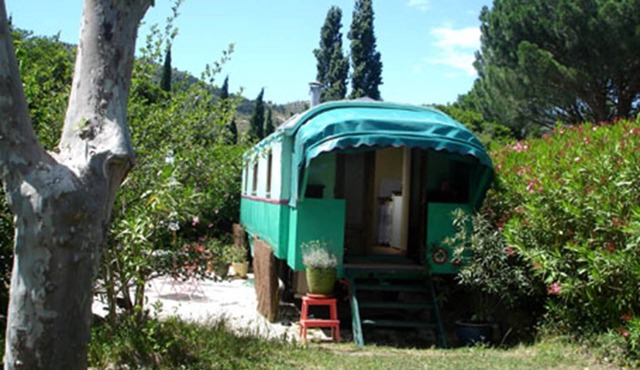 The Caravan of the Amandari
