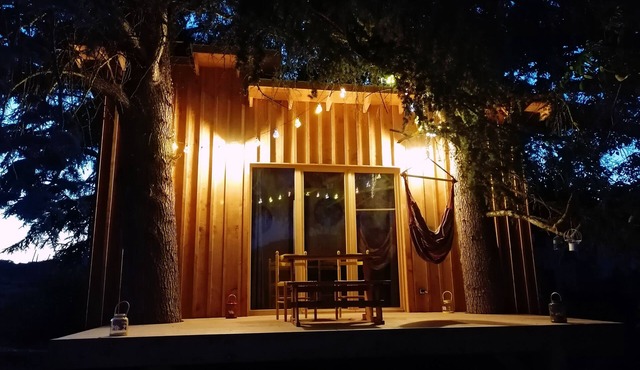 The Cedar.