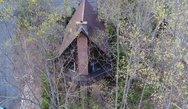 The chalet in the trees